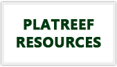 Platreef resources logo